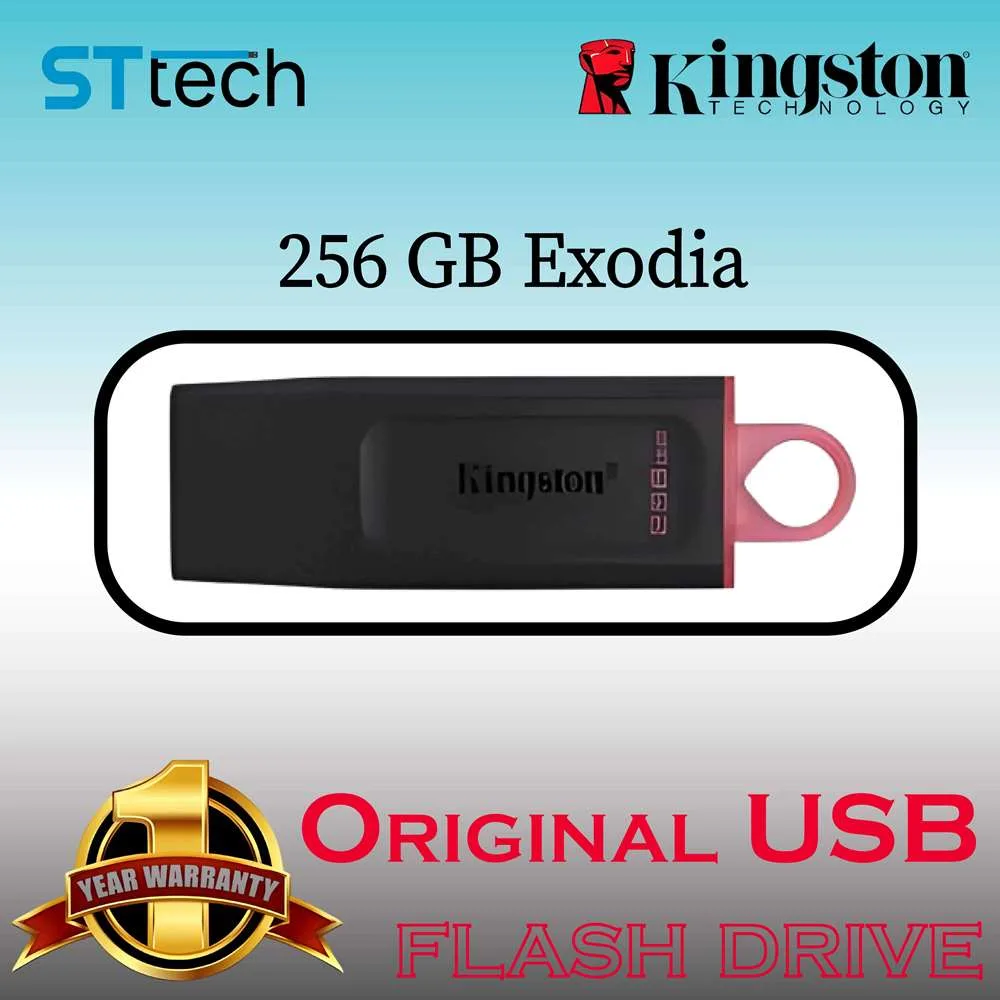 256gb Kingston Exodia USB Flash Drive best price in Pakistan by ST Tech
